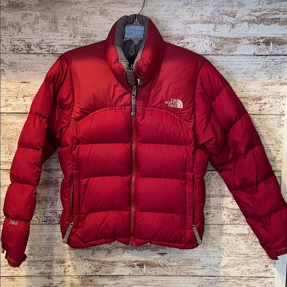 The North Face 700 Puffer Coat